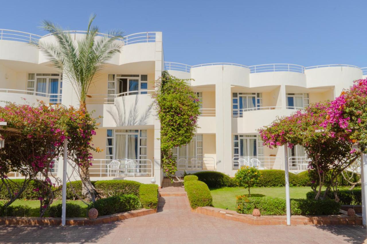 Sharm Reef Hotel Sharm El Sheikk Exterior foto