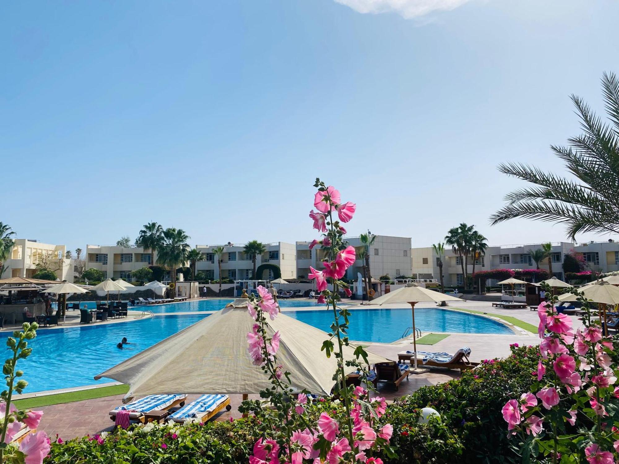 Sharm Reef Hotel Sharm El Sheikk Exterior foto