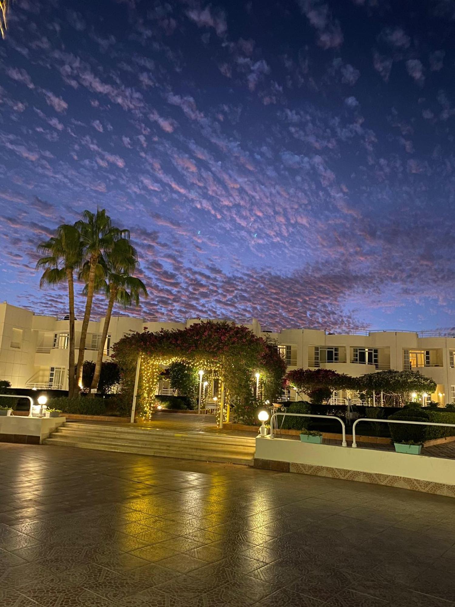 Sharm Reef Hotel Sharm El Sheikk Exterior foto
